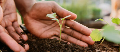 Met-Ed/Penelec Sustainable Energy Fund Seeks Nominees for Advisory Board 