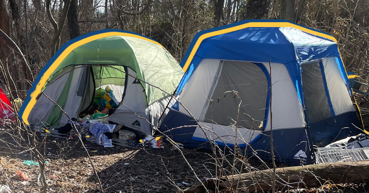 Local Impact Homelessness and Housing