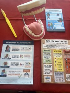 A display of oral health educational materials.