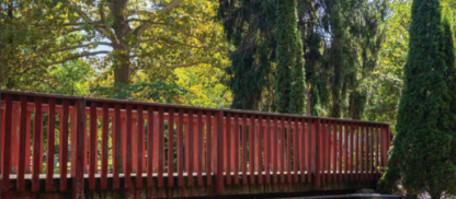 2025 Annual Report: A Year of Connection