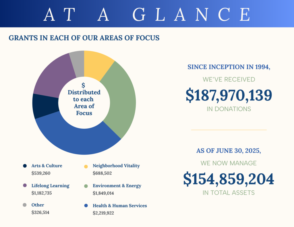 Annual Report 2025 grant distribution graphic 