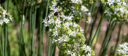 The Innovation Fund Awards Nearly $102,000 in Grants for Environmental Health Projects